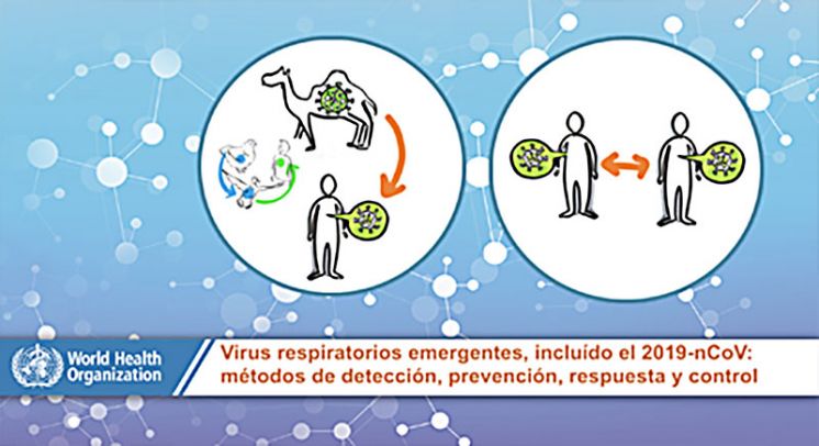 Virus respiratorios emergentes, incluido el COVID-19: métodos de detección, prevención, respuesta y control