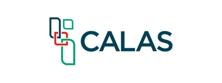 Investigador(a) visitante: El impacto del Covid-19 sobre las desigualdades en América Latina - CALAS